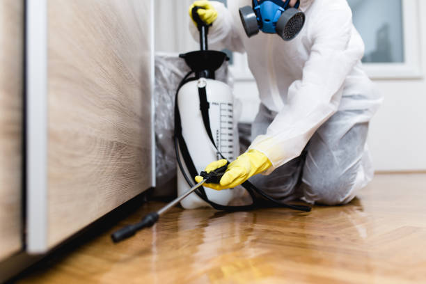 Best Pest Control Near Me  in Inkster, MI