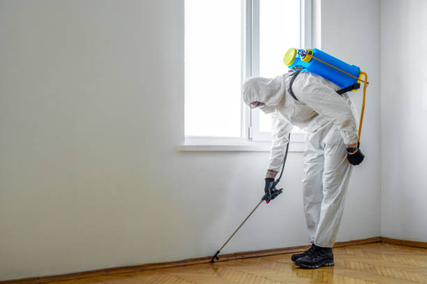 Best Wildlife Control Services  in Inkster, MI