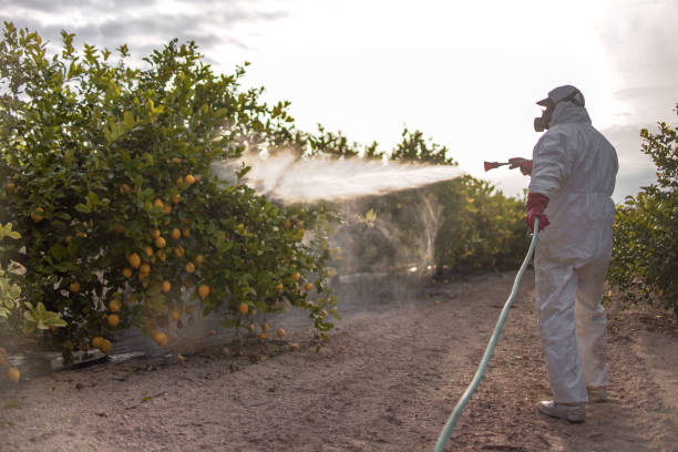 Flea Control Services in Inkster, MI