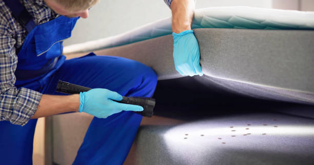 Best Wasp Removal Services  in Inkster, MI