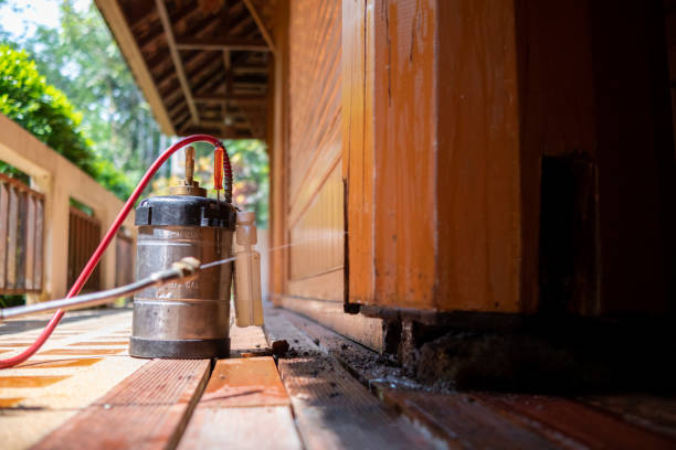 Best Pest Removal Services  in Inkster, MI