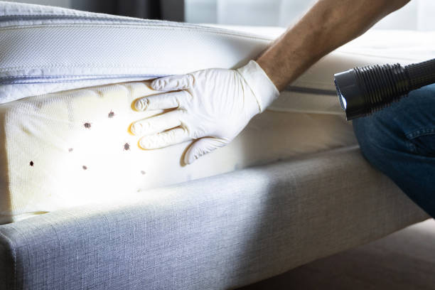 Best Exterminator Services  in Inkster, MI