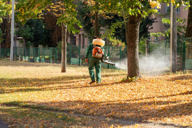 Best Mosquito Control Services  in Inkster, MI