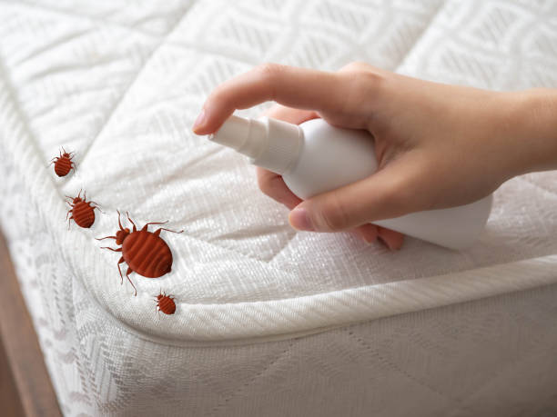 Pest Control for Restaurants in Inkster, MI