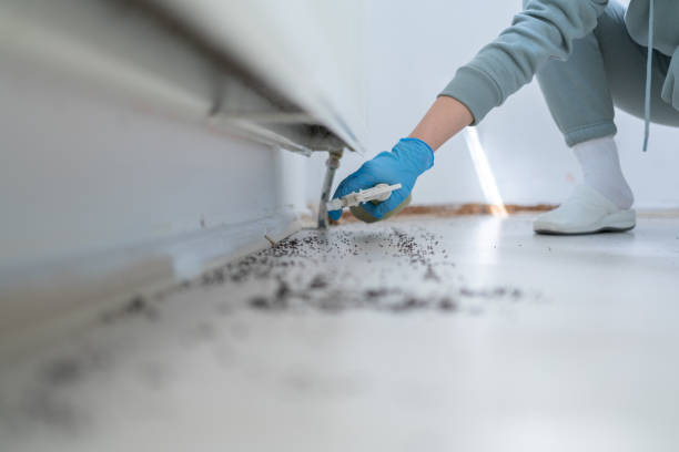 Wildlife Control Services in Inkster, MI