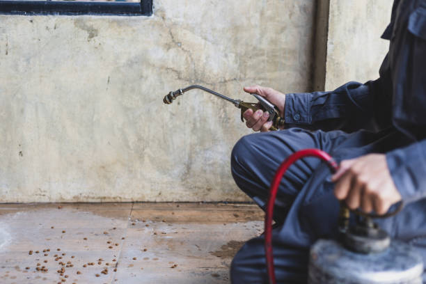 Best Pest Control for Restaurants  in Inkster, MI