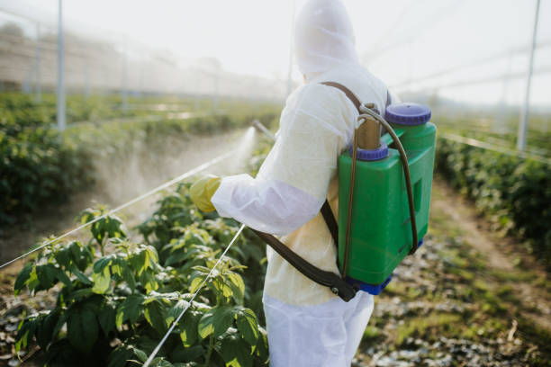 Best Local Pest Control Services  in Inkster, MI
